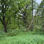 Σπίτι διακοπών Waldweg 33 *