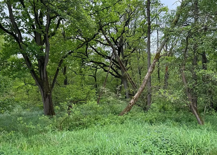 Casa de Férias Waldweg 33 *