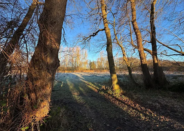 Waldweg 33 Casa de Férias *